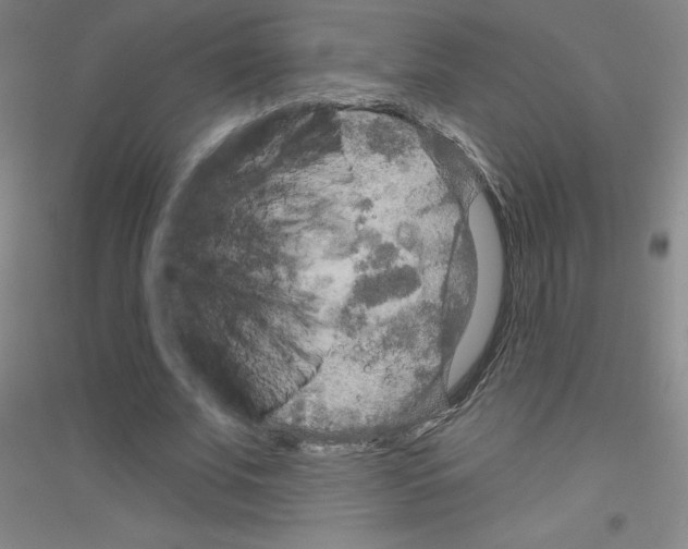 X0000116790679201001291519