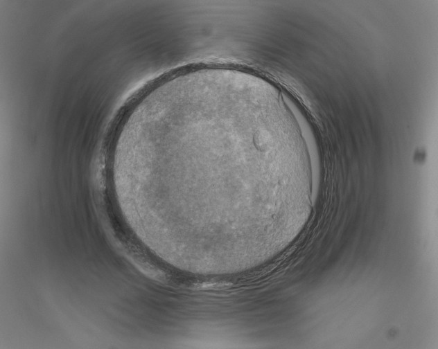 X0000116790680201001291519