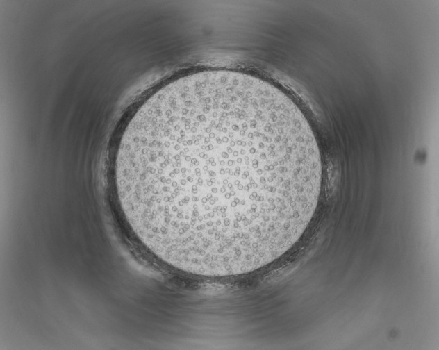 X0000116790682201001291519