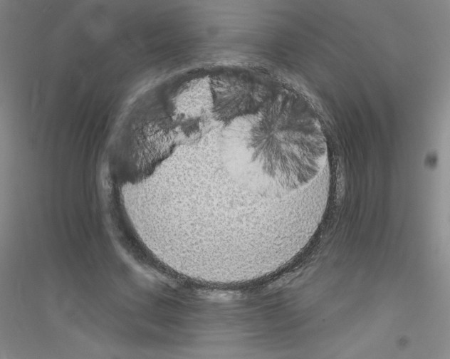 X0000116790683201001291519