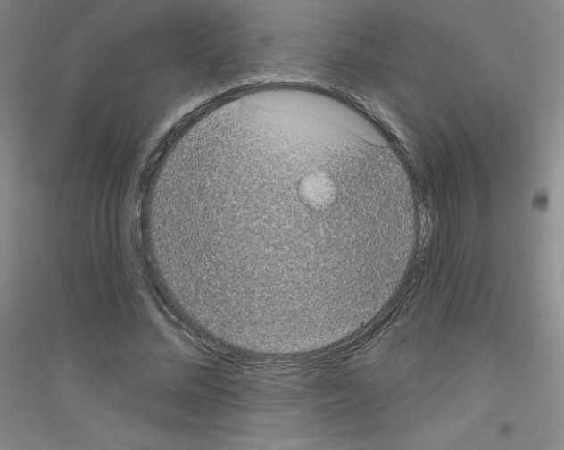 X0000116790684201001291519