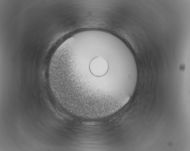 X0000116790688201001291519
