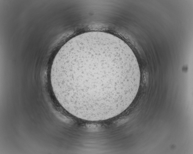 X0000116790690201001291519