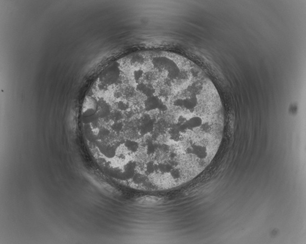 X0000116790691201001291519
