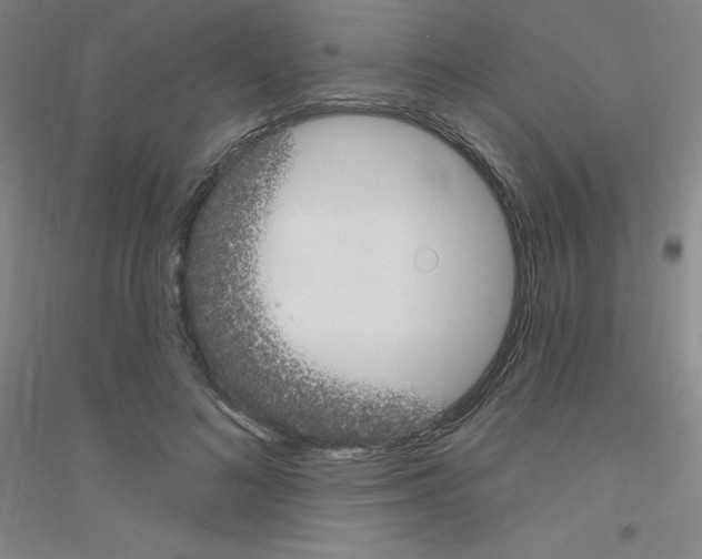 X0000116790692201001291519