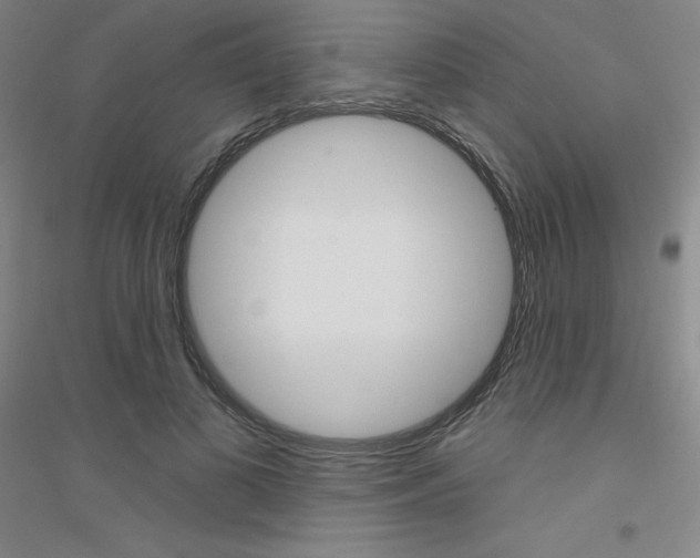 X0000116790693201001291519