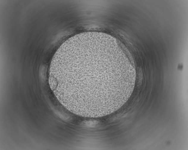 X0000116790695201001291519