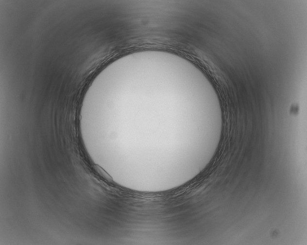 X0000116790696201001291519