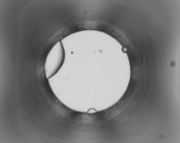 X0000116790697201001291519