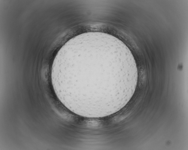 X0000116790698201001291519