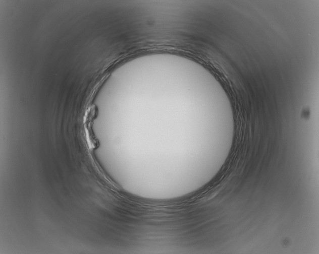X0000116790700201001291519