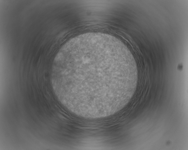 X0000116790701201001291519