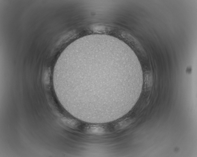 X0000116790702201001291519
