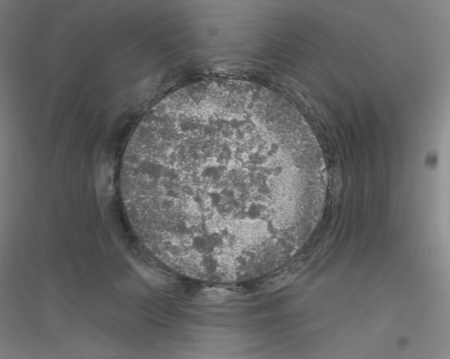 X0000116790703201001291519