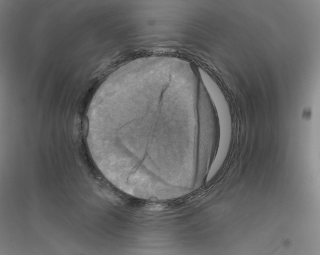 X0000116790704201001291519