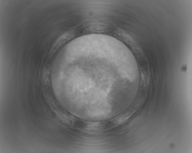 X0000116790705201001291519