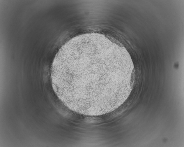 X0000116790707201001291519