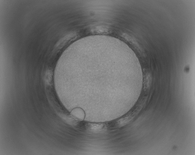 X0000116790709201001291519