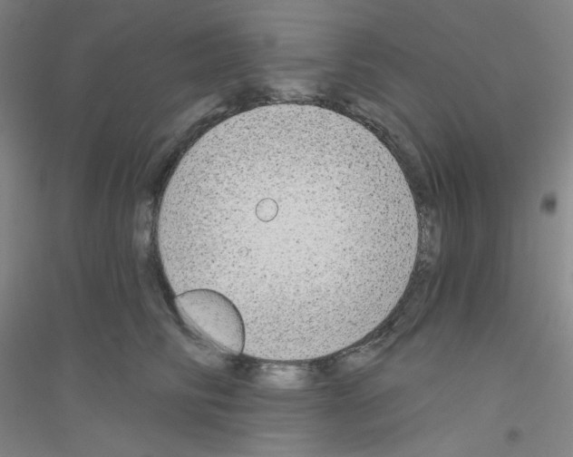 X0000116790710201001291519