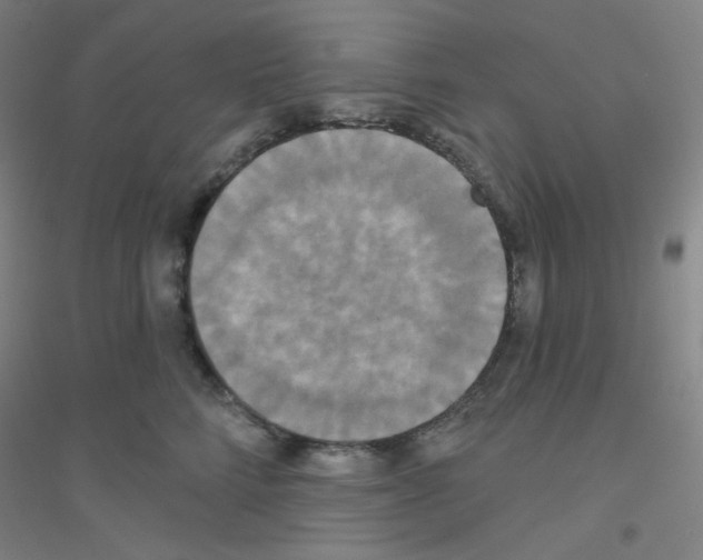 X0000116790712201001291519