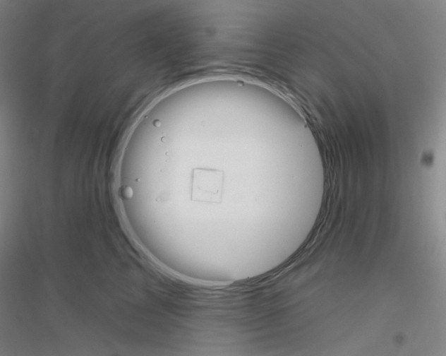 X0000116790713201001291519