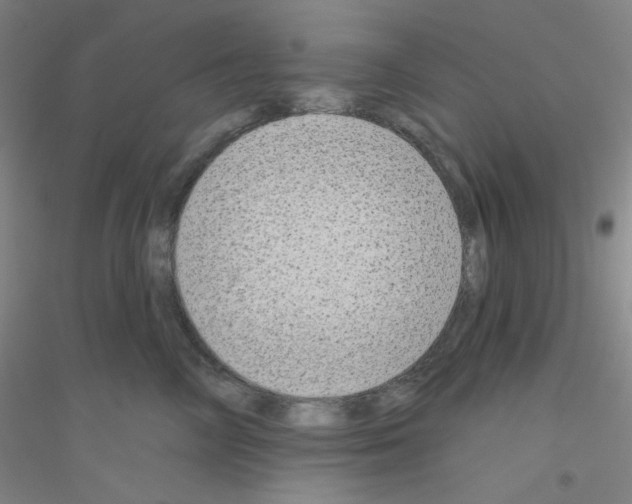 X0000116790714201001291519
