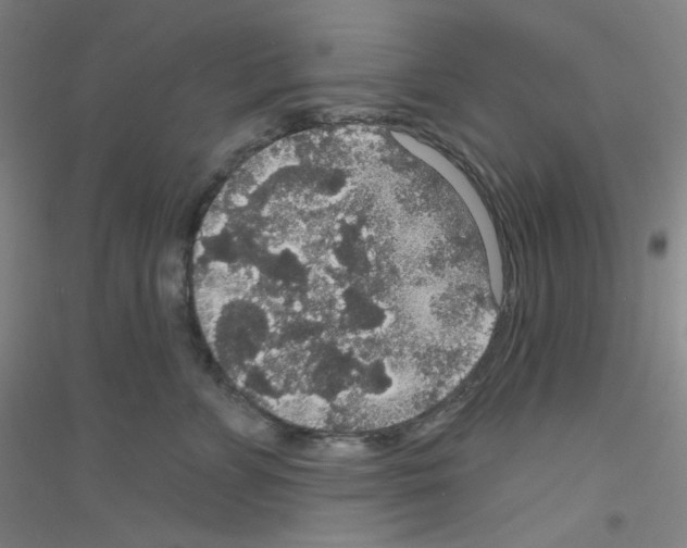X0000116790715201001291519