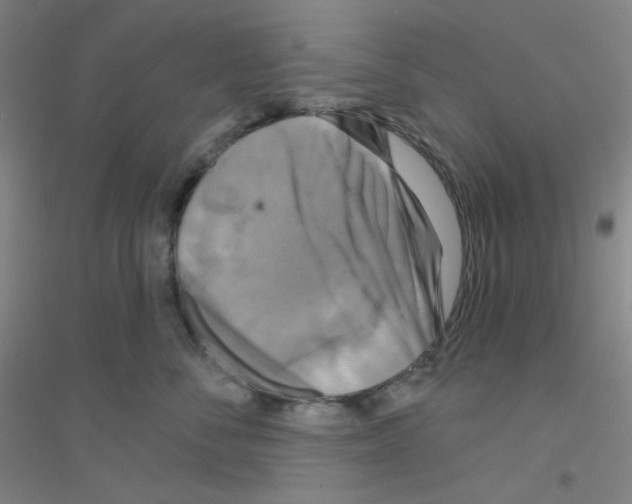 X0000116790716201001291519