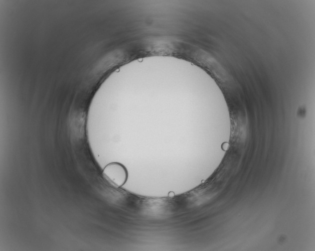 X0000116790717201001291519
