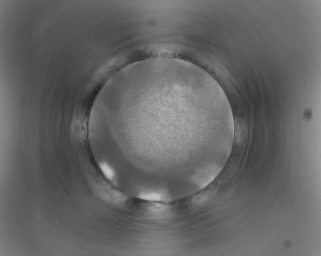 X0000116790718201001291519