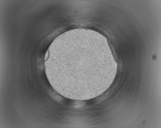 X0000116790719201001291519