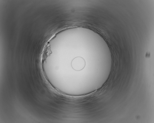 X0000116790720201001291519