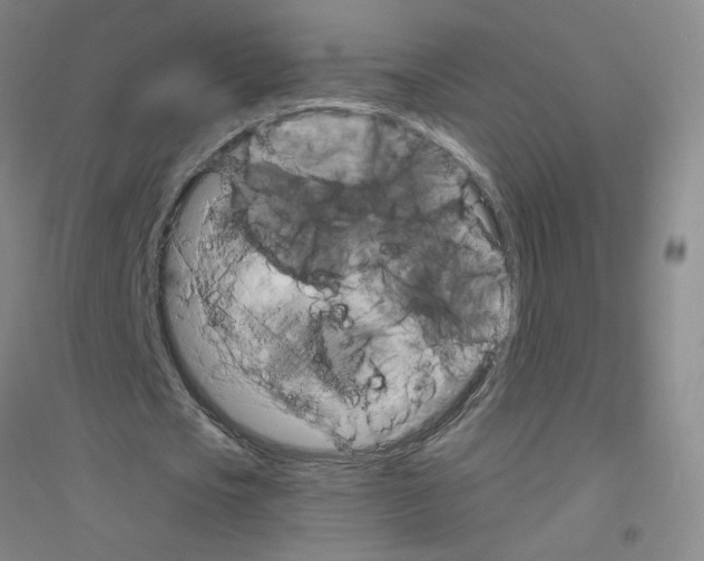 X0000116790721201001291518