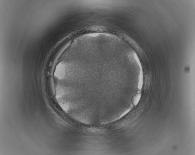X0000116790722201001291518