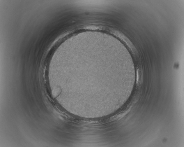 X0000116790723201001291518