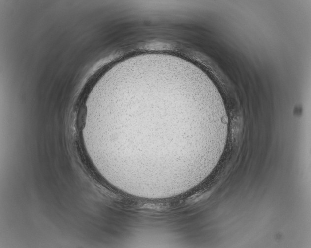 X0000116790727201001291518
