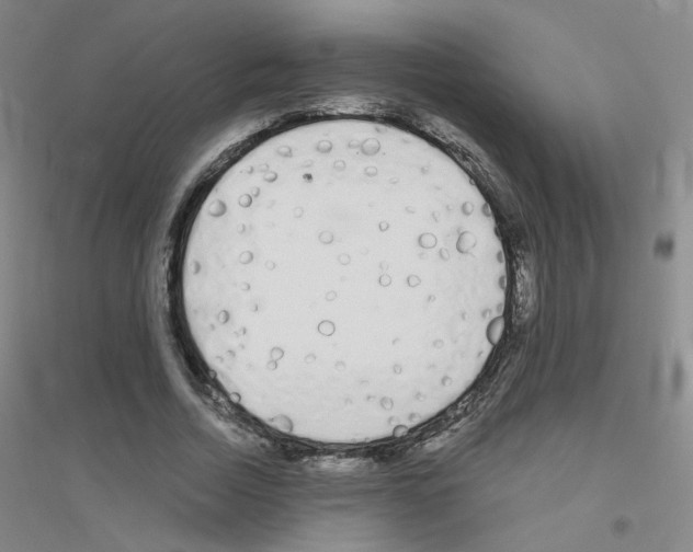 X0000116790730201001291518