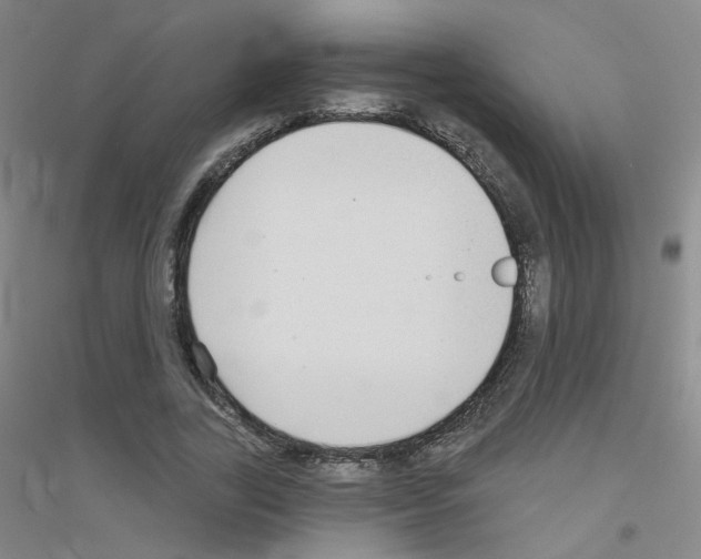 X0000116790731201001291518
