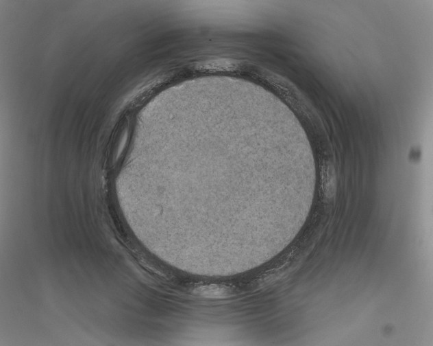X0000116790735201001291518