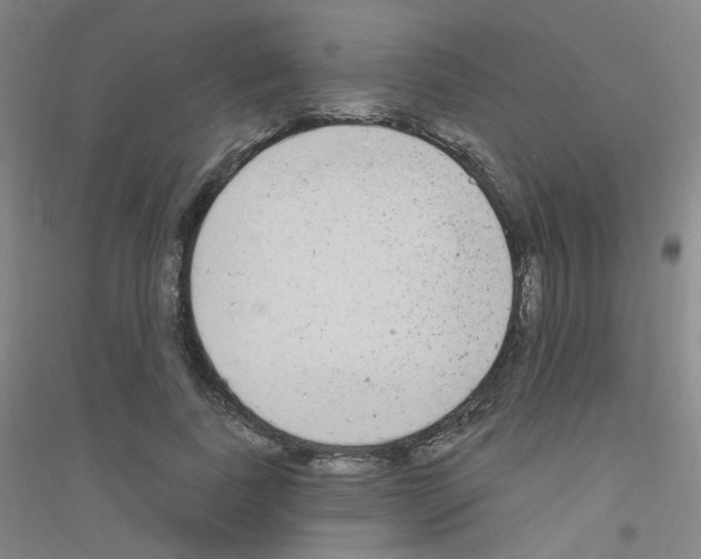 X0000116790739201001291518