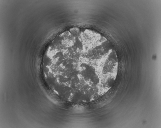 X0000116790742201001291518
