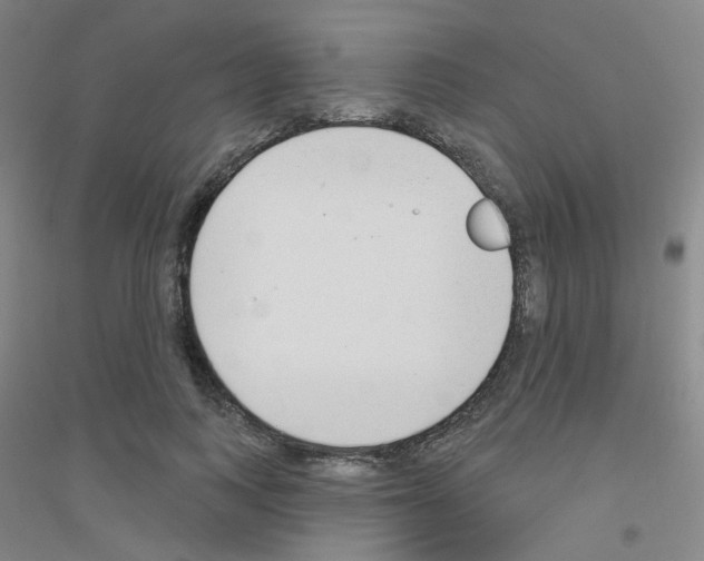 X0000116790743201001291518
