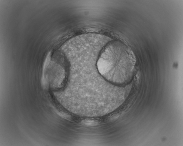 X0000116790745201001291518