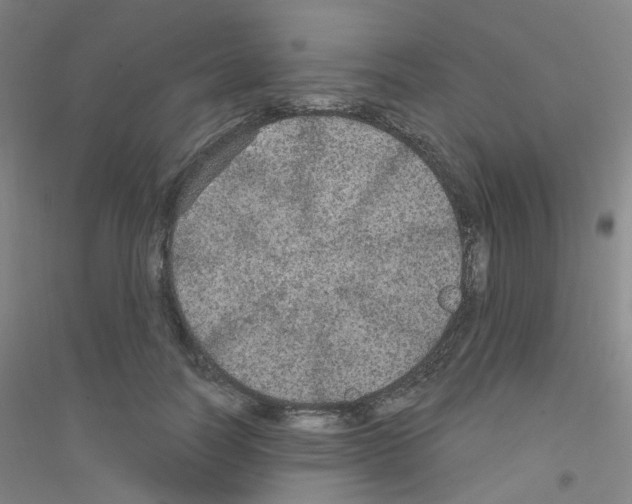 X0000116790746201001291518