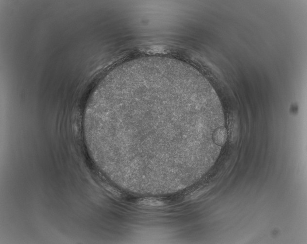 X0000116790747201001291518