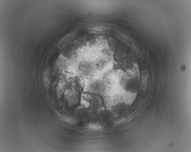 X0000116790749201001291518