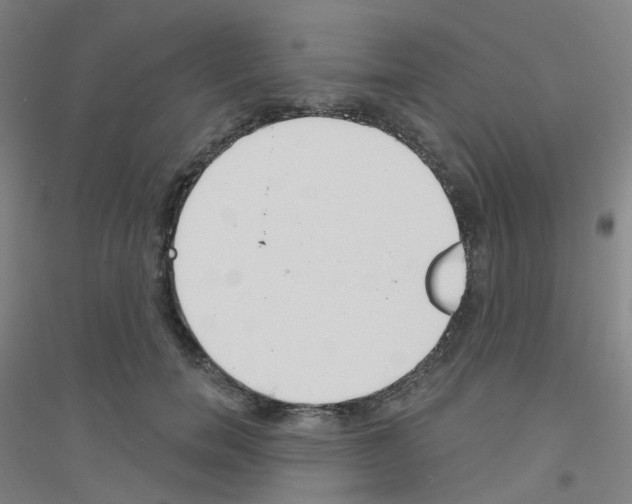 X0000116790750201001291518