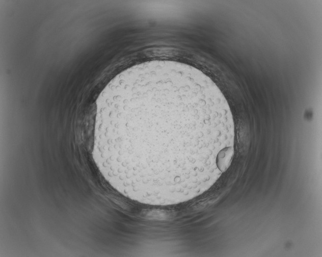 X0000116790751201001291518