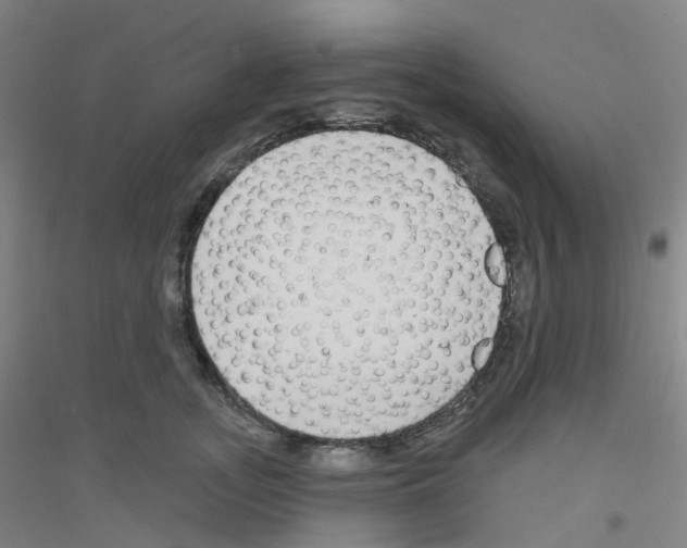 X0000116790755201001291518