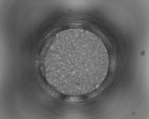 X0000116790758201001291518